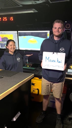 3.7K views · 70 reactions | Today's Hawaiian #wordoftheday: Mauna kai...