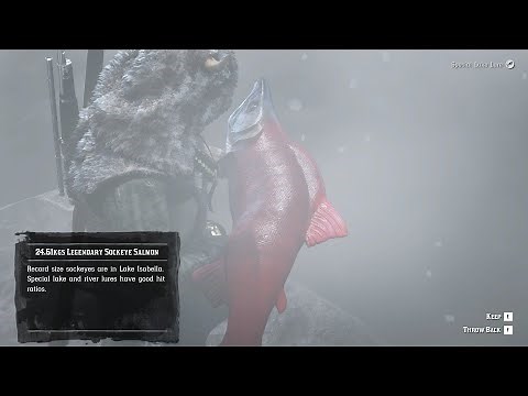Easy Way to Catch Lake Isabella Legendary Fish (Sockeye Salmon) #rdr2 #reddeadredemtion2