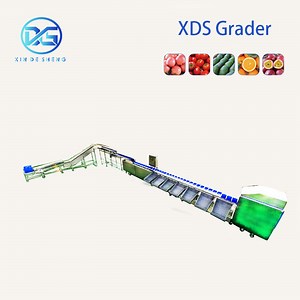 [Hot Item] Automated Tomato Weight Grading Sorting Machine for Premium Quality Control