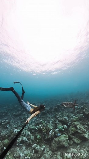 💙 underwater #alfaksu