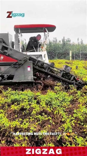 Fast & High-Capacity Peanut Harvester for Efficient Gathering and Collection in Agricultural Fields