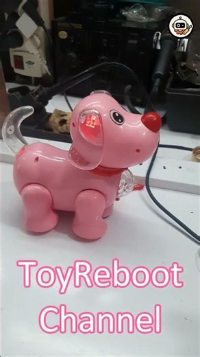 This Musical Dog Is So Fun! 🐶🎵 #Shorts