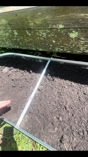 digging my grave bc she’s not the center of attention