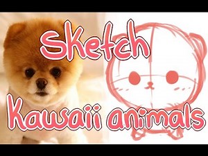How to sketch kawaii animals