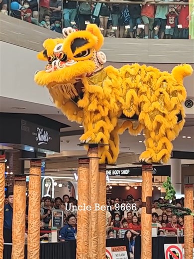 #彭亨關丹建造行武術醒獅團 #UncleBen9666 #liondance #新春2026 #舞狮 #新年舞獅 #2026CNY 視頻在評論區 Video in the comments section #傳統醒獅精英邀請賽 #醒獅 #世界龍獅日