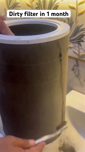 Air Purifier Kyu Zaroori Hai? Honeywell Air Touch V1 Purifier!