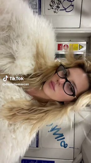 Explore Free Tube: The Ultimate Free TV Shows and Movie App