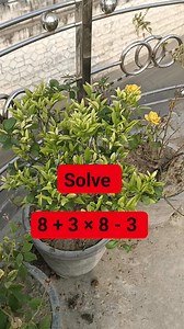 Math Try This | Learn And Solve