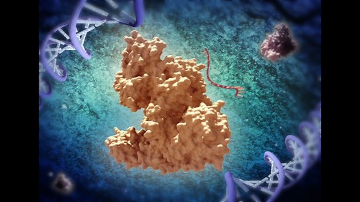 CRISPR-Cas Cpf1 (Cas12a)机制与原理