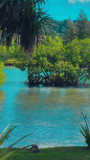 Gera Gavurivo by Pune Kapa 🔥🎶 Music title ⤴️🍻🙃#fypシ🥥 #followers | Wîllîē Mãl