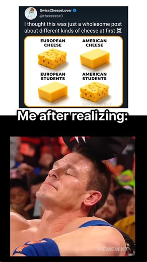 The Truth About This Cheese Meme... 💀 #funnyshorts #memes #cutebabies #7x7