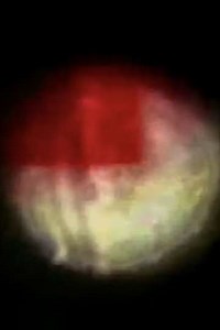 Intuitive Form - Movie