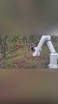 Harvesting #fairino #machine