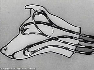 Video shows Soviet scientists in 1928 attaching a dead dog's head to a machine & bringing it to life! (VIDEO-PHOTOS) - ProtoThema English