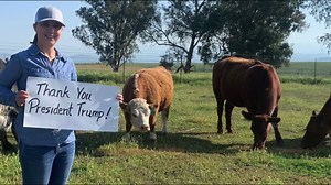 339 reactions · 63 shares | My team just launched a brand new ad to...