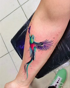 Quetzal 🇲🇽 técnica de acuarela . Diseño propio . Citas y cotizaciones inbox 🔥😊 #quetzal #quetzaltattoo #tatuajes #cdmx #watercolor #tattoo #mexico #tatuador | Irving Gómez Tattoo
