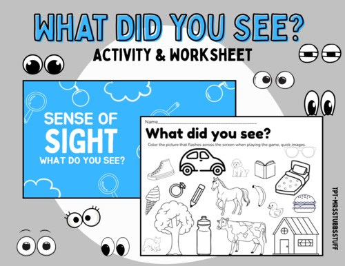 What did you see? Game (With worksheet & Video) Sense of Sight