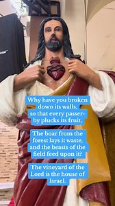 73K views · 10K reactions | Responsorial Psalm | Twenty-seventh Sunday in Ordinary Time | October 8, 2023 Responsorial Psalm: Psalms 80:9, 12, 13-14, 15-16, 19-20 Response: The vineyard of the Lord is the house of Israel. | Gospel Readings + Special Devotions for Busy People | Facebook