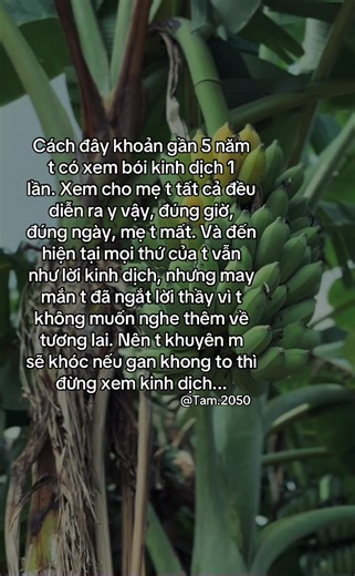 #tamtrang #xuhuong #her #foryoupage