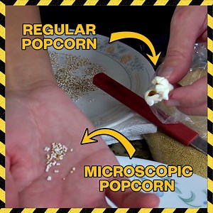 1.6M views · 1.3K shares | Microscopic popcorn VERSUS regular popcorn!!  | The King of Random | Facebook