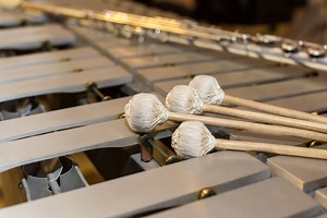 Glockenspiel vs Xylophone (Differences, Origins & More!)