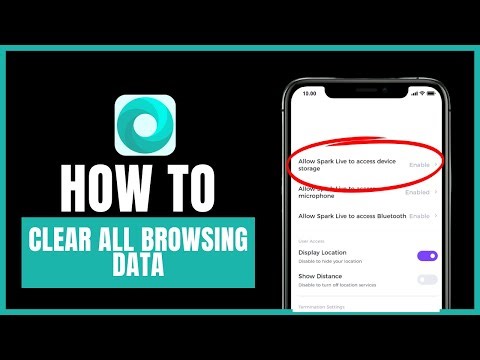 how to clear all browsing data in mint browser