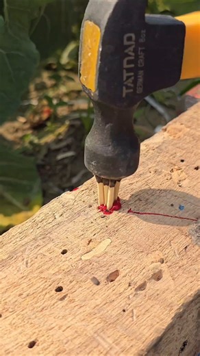 Hole Fix Sticks Tricks Smarter Hacks Diy #Tricks #hole #Fix