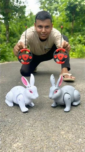 AMR Duita Remote Control Rabbit Unboxing