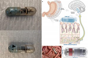 Innovative new weight-loss treatment may be the new Ozempic after showing promising results in tests