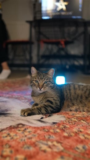 ONUR ASTAN on Instagram: "Mamba edit.mp4"