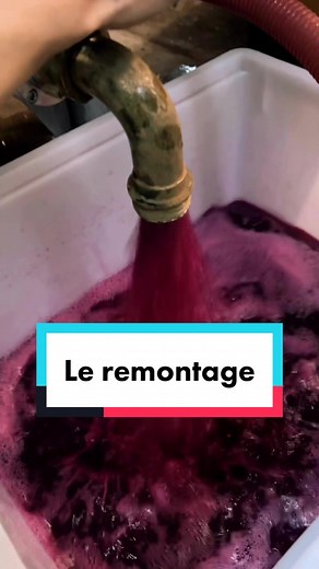 Explosive Reactions in Industrial Environments