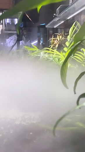 The Fish Factory in Milwaukee Wisconsin is a pretty cool aquarium store with 3 rooms of different aquatic style products and livestock. They also had a really great selection of SICCE products and we are very thankful for that. Check out The Fish Factory on Facebook or their website Thefishfactoryonline.com #vlog #wisconsin #aquariumstore #partner #madeinitaly #smallbusiness #familyowned #localfishstore #followthewhale #instagood #travel | SICCE