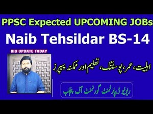 Naib Tehsildar!