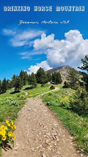 Best Hikes Near Bozeman, Montana - Spectacular Views and Easy Trails