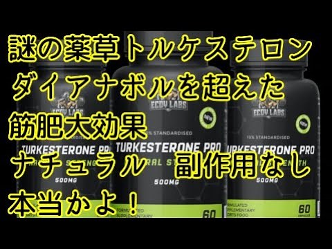 ステロイドを超えた筋肥大効果 謎の薬草トルケステロン