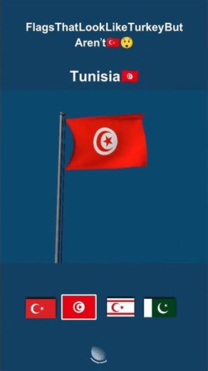 Flags That Look Like Turkey But Aren’t 🇹🇷😲TurkeyFlag #WorldFlags #FlagComparison