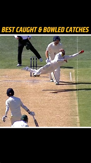 Cricket ke Unbelievable Catches 😱🔥 #cricket #shortvideo #shorts #cricketshorts