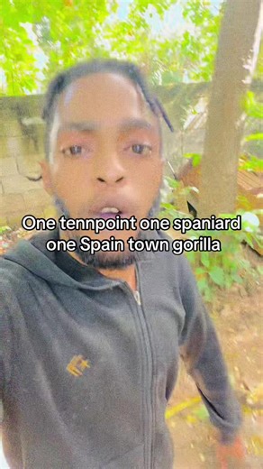 One code mi dawg fully code 💯let go an let god mi bro #fyppppppppppppppppppppppp #fypシ #zombiescrape #tiktoklive #tennpoint