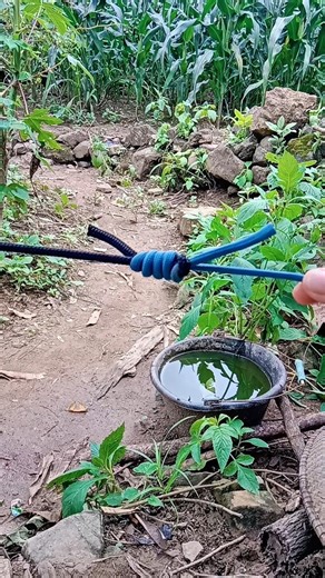 Easy knots for beginnersBasic rope for everyday use