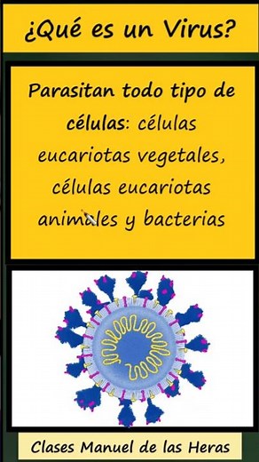 What is a VIRUS?. General Characteristics of Viruses. Biology
