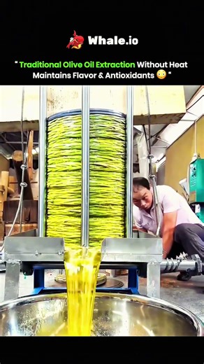 Traditional Olive Oil Extraction Without Heat Maintains Flavor & Antioxidants #ColdPressed #OliveOil