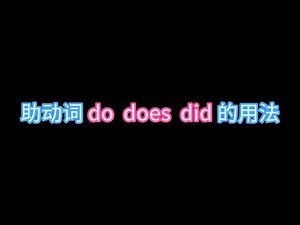 did英文用法