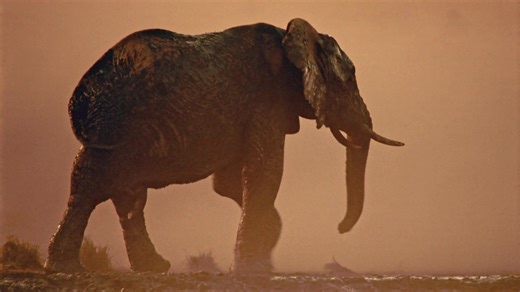 【自然风光类纪录片合集 】【全1080p】【无对白】