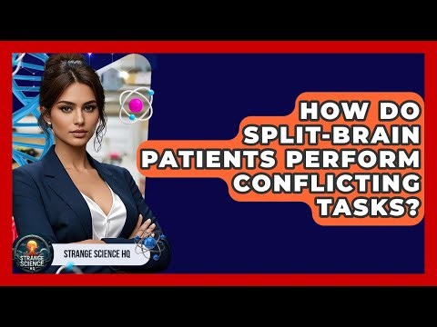 How Do Split-brain Patients Perform Conflicting Tasks? - Strange Science HQ