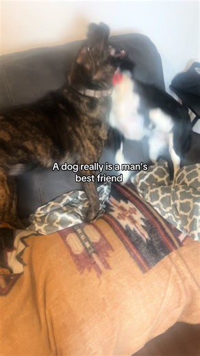 dat_obs_ford (@dat_obs_ford)’s videos with a dog doesnt care if youre rich or poor - paris beal