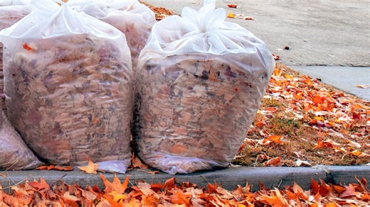 Saratoga Springs announces new fall leaf pickup schedule