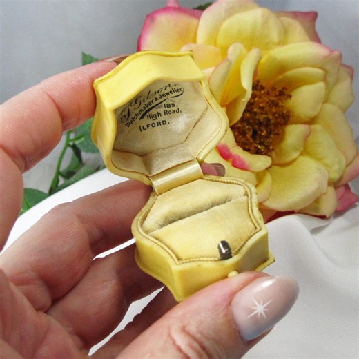 Antique French Bakelite Ring & Jewelry Box in Beige, TB100 - Etsy