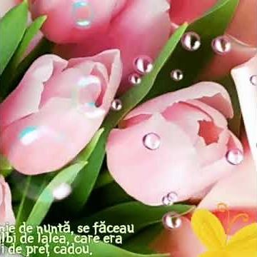 Legenda🌷Lalelei|Povestiri și simboluri de primăvară|