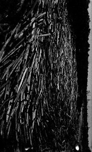 Being - Battery Cages II