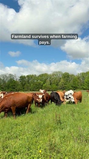 Farmland Survives When Local Farming Pays